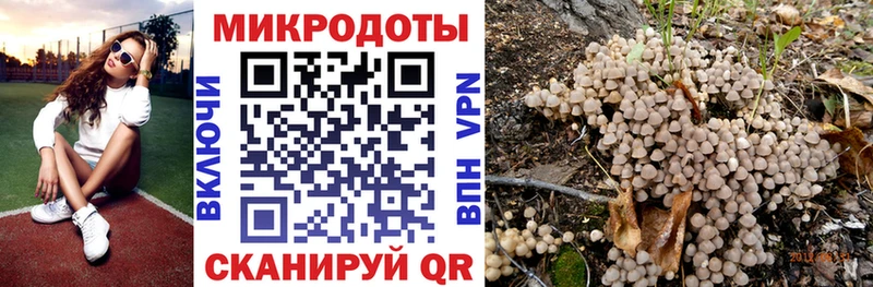 блэк спрут ONION  Дорогобуж  Галлюциногенные грибы прущие грибы 